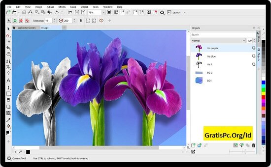 CorelDraw X5 Download Gratis ktivasi (100% Work) Final [PC]